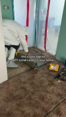 cause this is freshly vaccumed too 