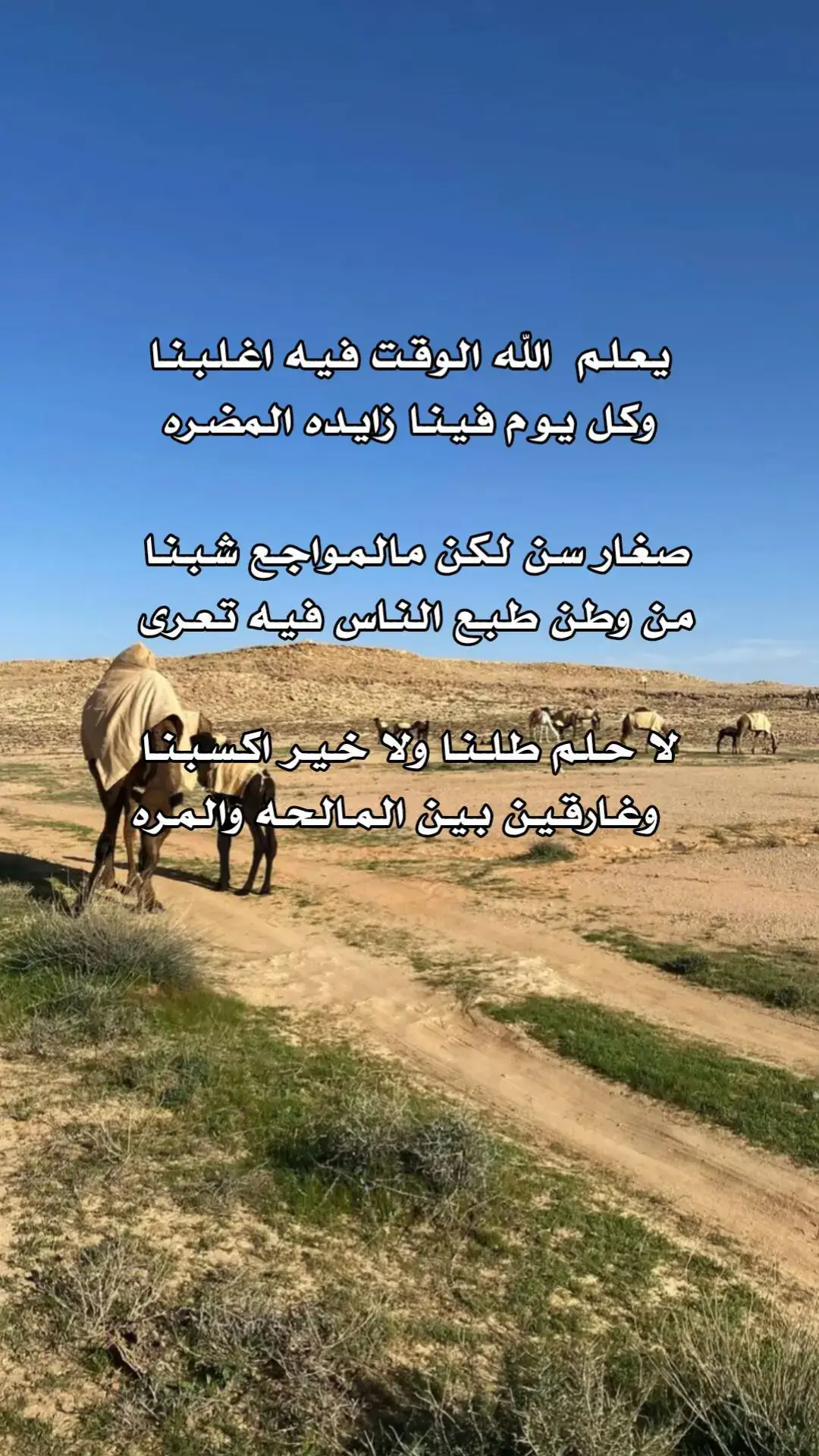 #شعراء_وذواقين_الشعر_الشعبي  #شعر_شعبي #شعر_ليبي #شعروقصايد  #شتاوي_غناوي_علم_ليبيه  #تصميم_فيديوهات🎶🎤🎬  #درنه_بنغازي_البيضاء_طبرق_ليبيا  #طبرق_بنغازي_درنه_طرابلس_البيضاء 
