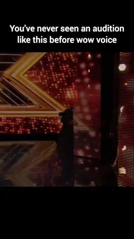 #gottalent #fyp #tiktokviral #fypシ゚ #viral  x factor auditions 