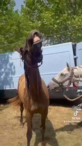 Nos artistes qui font les clowns  😅🤡 #equestre #humour #pour toi  @Fantinemaxch