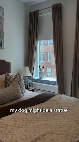 Is he a statue? No. Is he perfect? Yes :) #dogsoftiktok #interiordesign #nyc #yorkie 