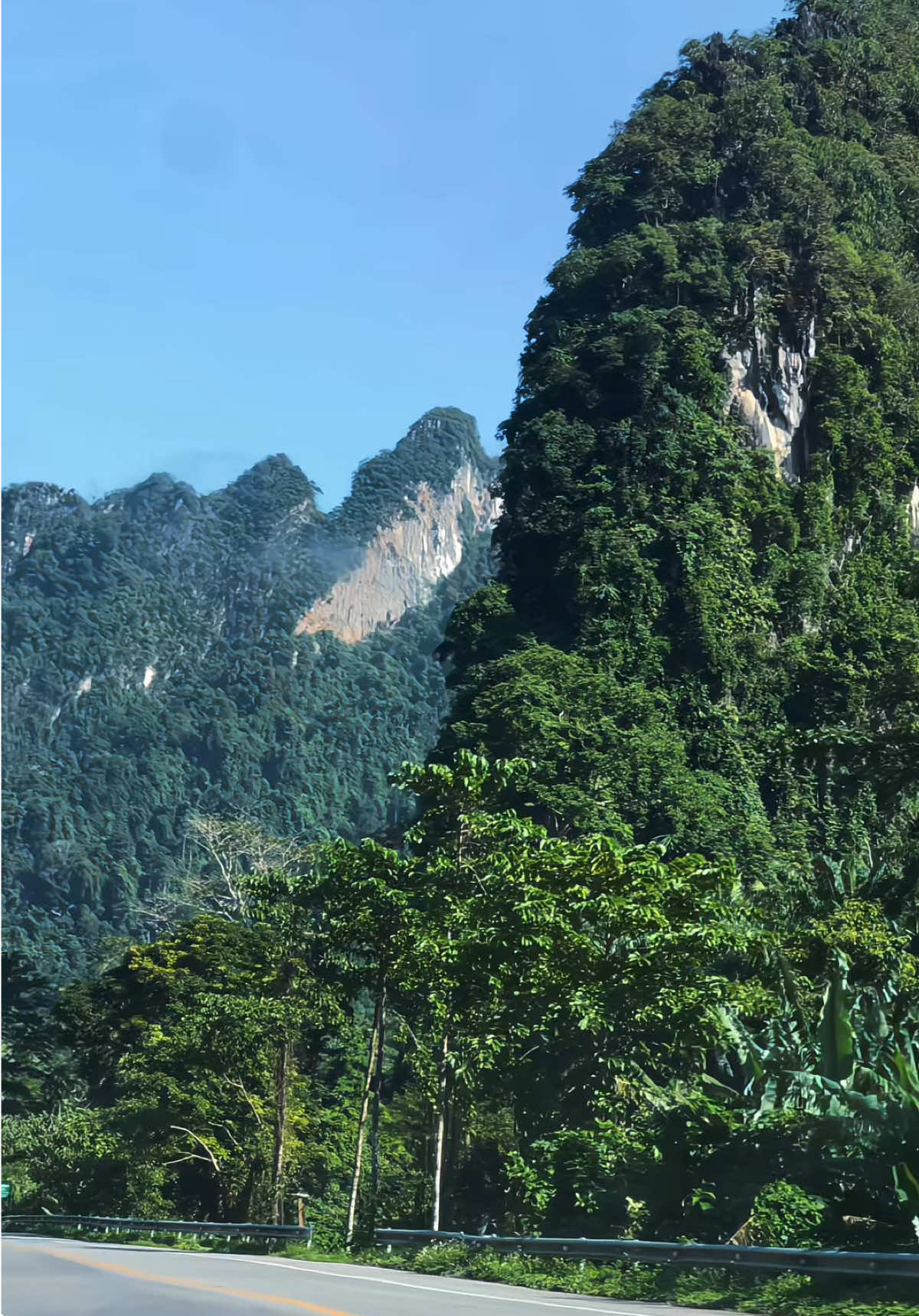 ที่นี่ภาคใต้ ประเทศไทย 🏔️🍃🌳 เขาสก สุราษฎร์ธานี #ธรรมชาติบําบัด #ฮิลใจ #ภูเขา #bridgehillcafe💚🤍 #สุราษฎร์ธานี 