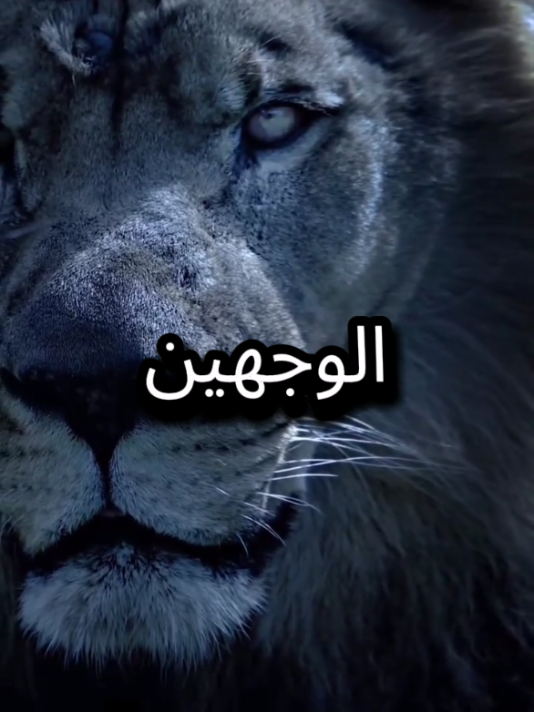 عرفت الناس على مر السنين ومن صاحب الوجهين كنت أعاني  #اقتباسات_عبارات_خواطر #خواطر #عبارات #المواقف 