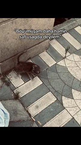 ))