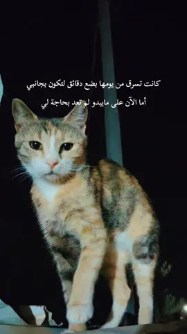 لايك وقلب❤️ #ستوريات #اقتباس #حزن #حزين 