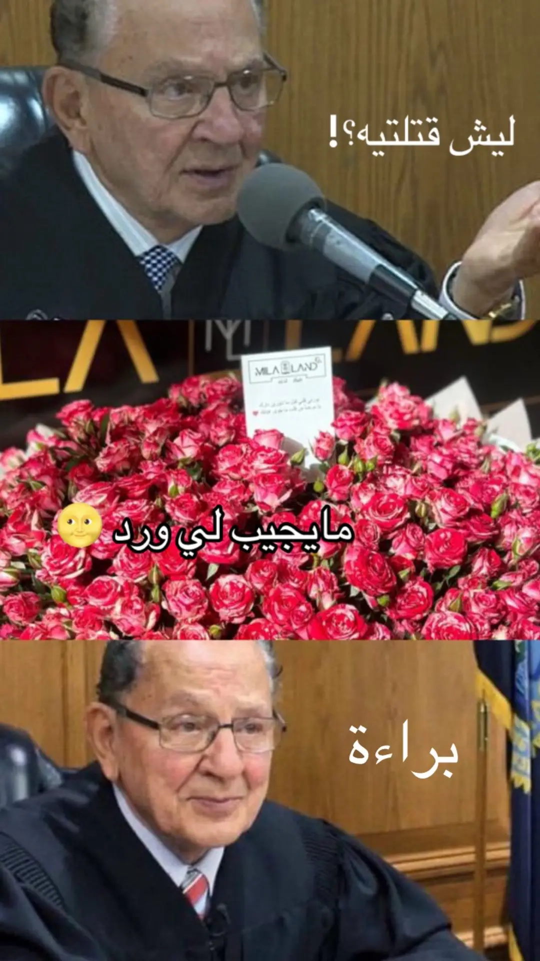 #ياسر #ميلالاند #🌸 #براءة #1august 
