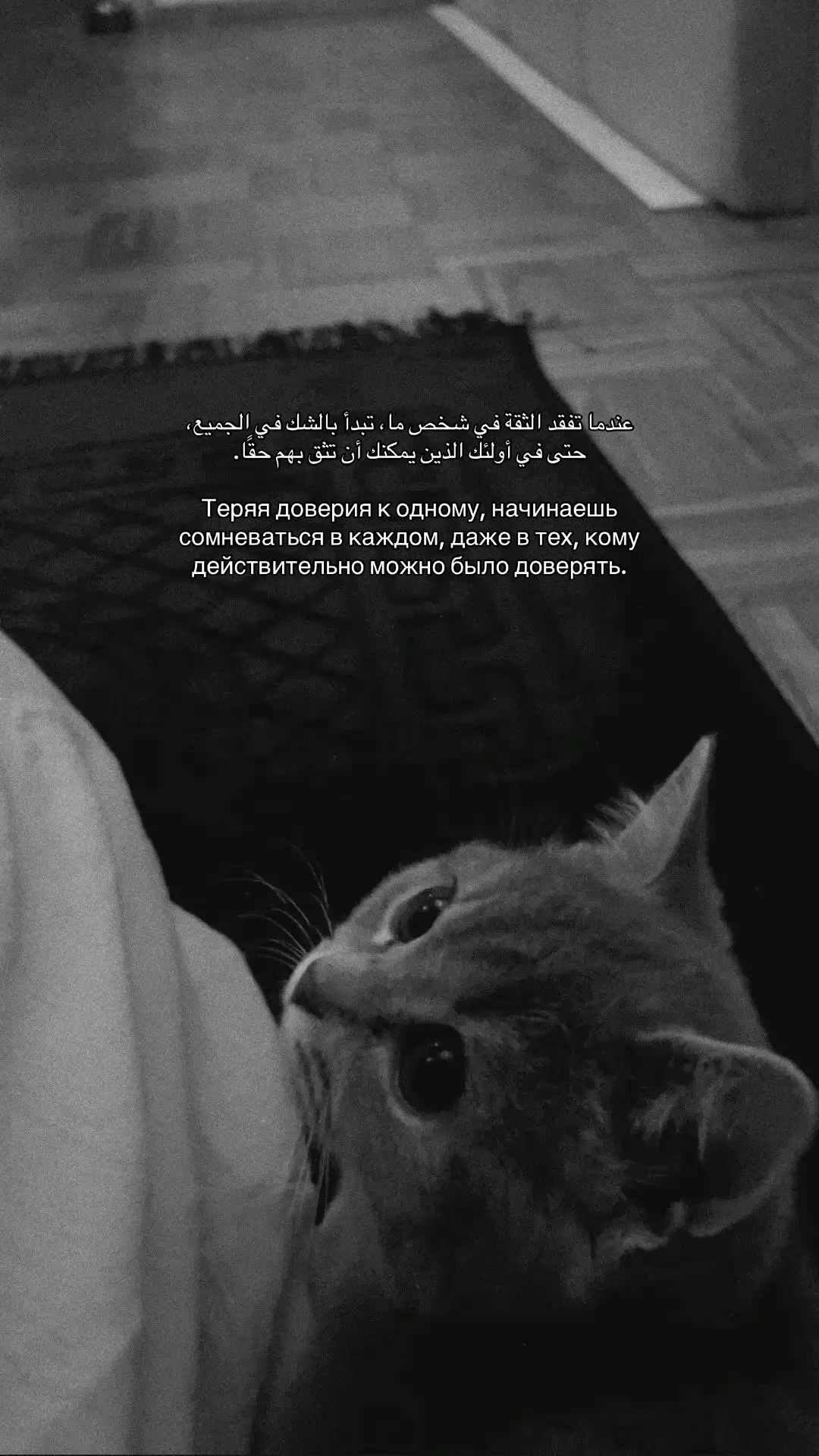 #рекомендации 