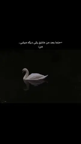#فوریو_پاشم_بیام_جرت_بدم 