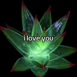 i love you #poetry #flower #flowers #hope #soulmate 