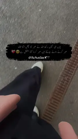 #capcut_edit #fyp #viral #foryoupage❤️❤️ #viralvideos @thwalkingeye✌🏻 @Ch sher ali vlogs 