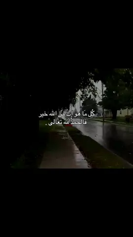 قناة التلي موجوده بالبايو . #أنجيل 