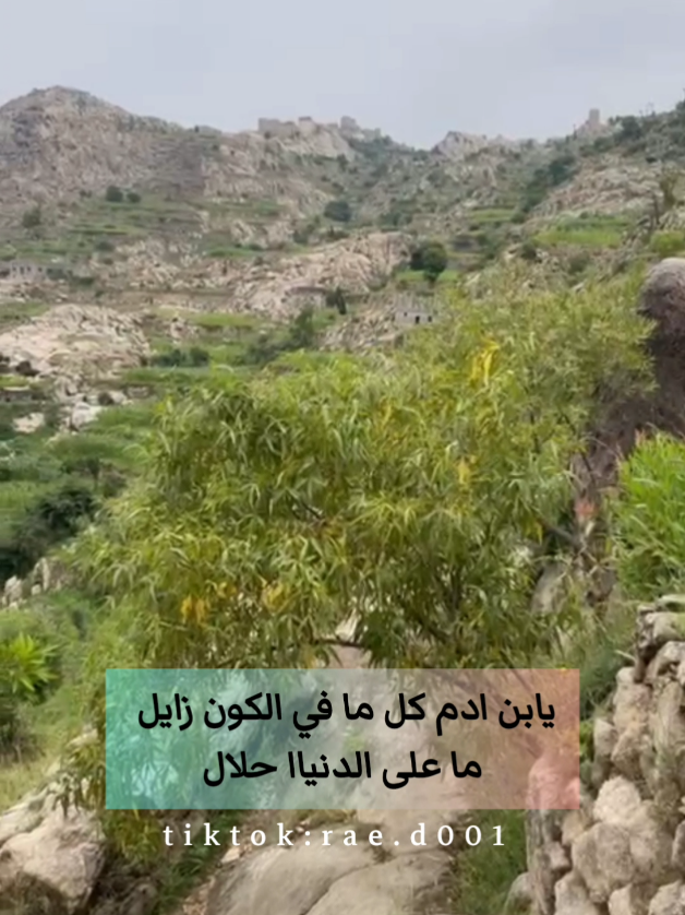 يا ابن ادم  #explore #اكسبلور #viral #trend #رازحي_بلدي 