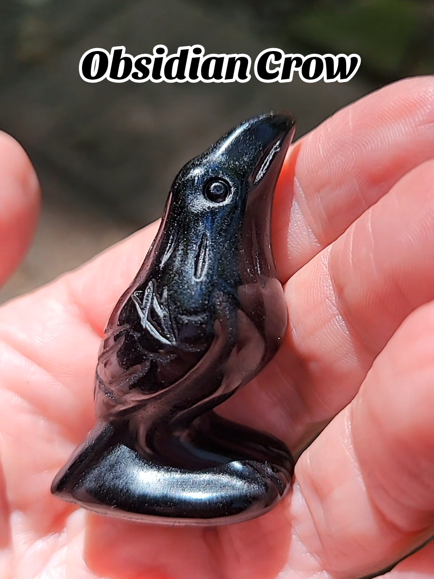 Obsidian Crow #tiktokshop #obsidian #crow #sophia #crystals 