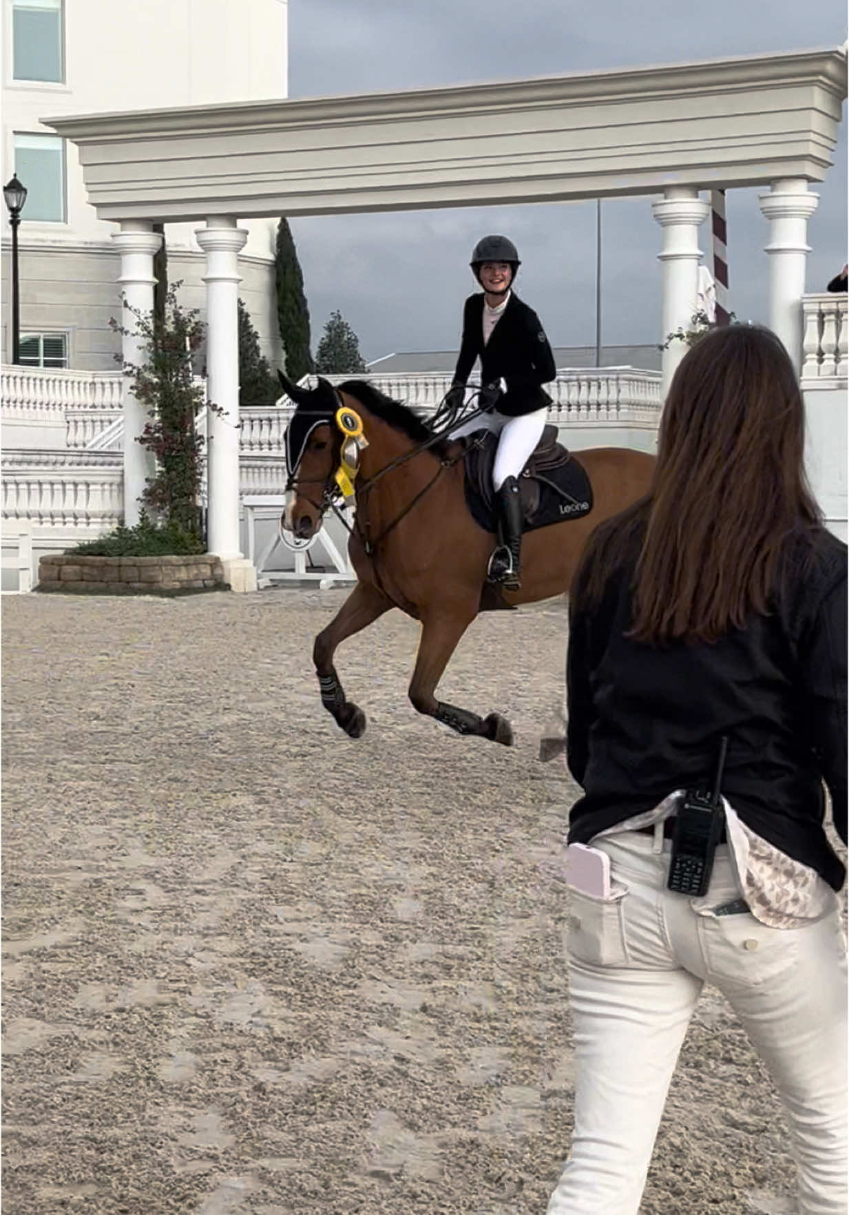 keep. going. 💪 #horses #fyp #showjumping #showjumpers #grandprixhorse #horse #equestrian #jumpoff 