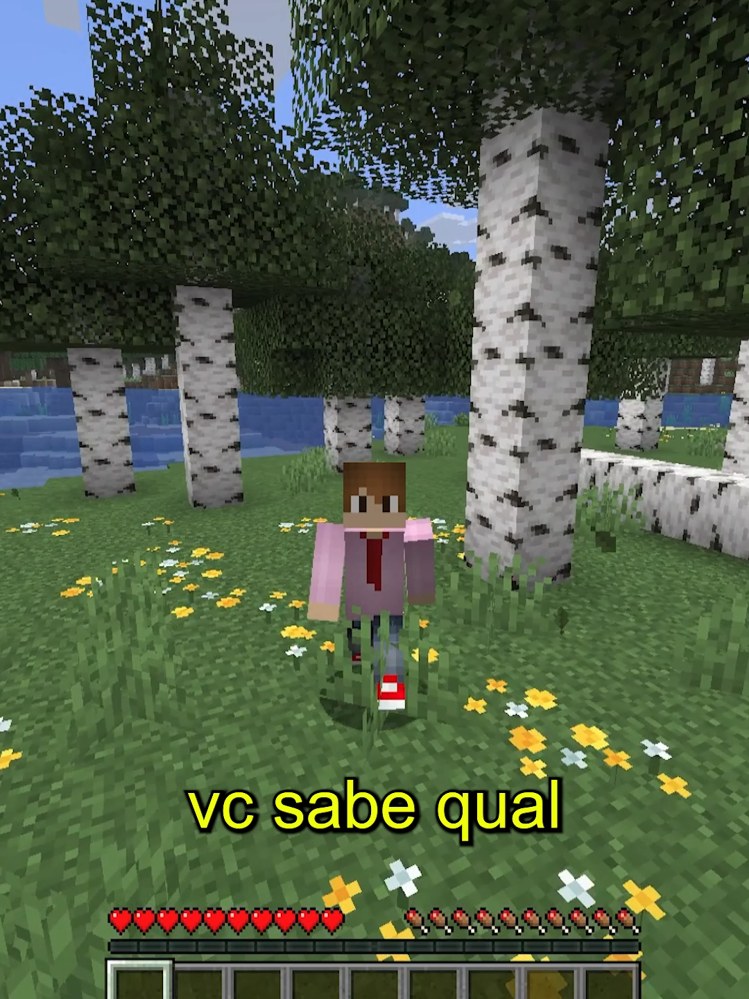 eai, vc sabia disso? #clips #Minecraft #curiosidades #minecraftbedrock #jogandomine #mods #minebr #fenyx #edit #nostalgia #fogoqueimado #bedrock #minecraftmemes #foryoupage❤️❤️ #fyp #jogos #java #esconderijo #trap #minigames