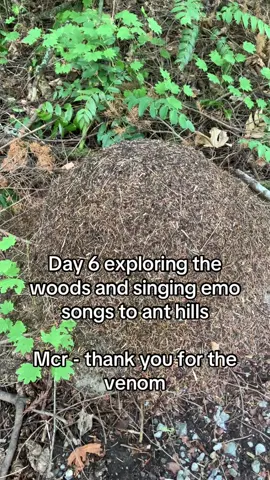 Day 6 - Thank you for the anthill #mcr #mychemicalromance #gerardway #emo #autism