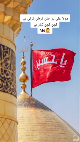 مولا علی پر جان قربان کرنی یے کون کون تیار یے