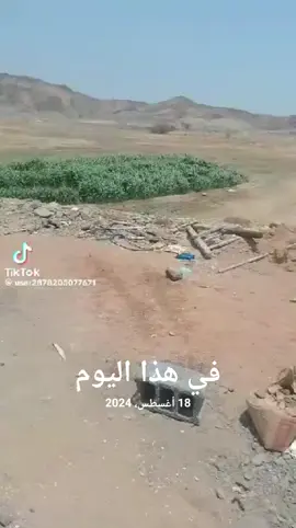 #في هذا اليوم