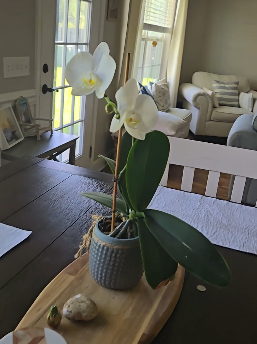 I have a very rare vacancy on my Vacation Rental Home in Hinesville, GA, located only about an hour from all of Georgia's beautiful beaches and Historic Savannah, GA.  This is a whole home,  with 4 bedrooms, 2 bathrooms, chefs kitchen with granite counters, privacy fenced back yard in a quiet suburban neighborhood, full laundry facilities. 42-65