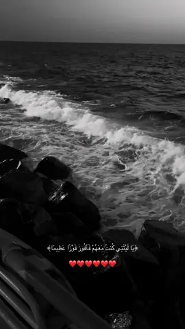 #قران #اجر_لي_ولكم #ماهرالمعيقلي #صدقة_جارية 