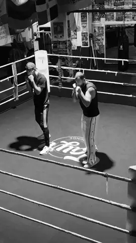 #boxer #boxer #viral #🇨🇮🇺🇲🤠 