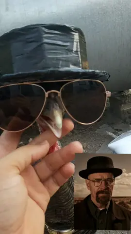 Ashley say my name....im turkey vertion of heisenberg in breaking bad #ashley #turkey #breakingbad #saymyname #walterwhite 