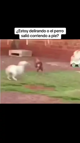 #Recuerdos 