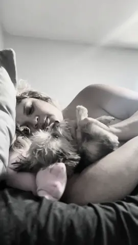 #dogsoftiktok #yorkie #Love #therapy #fyp 