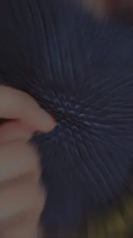 #CapCut #
