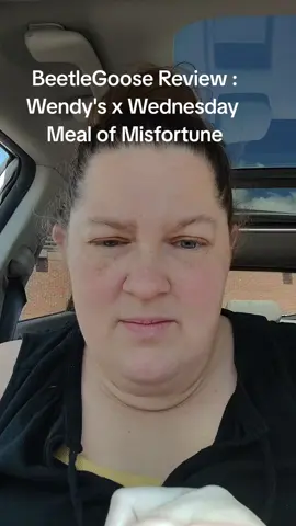 @Wendy’s  The most honest review by a goose that has ever been given 😆 #review #wendys #fyp #porchgoose #wednesday 