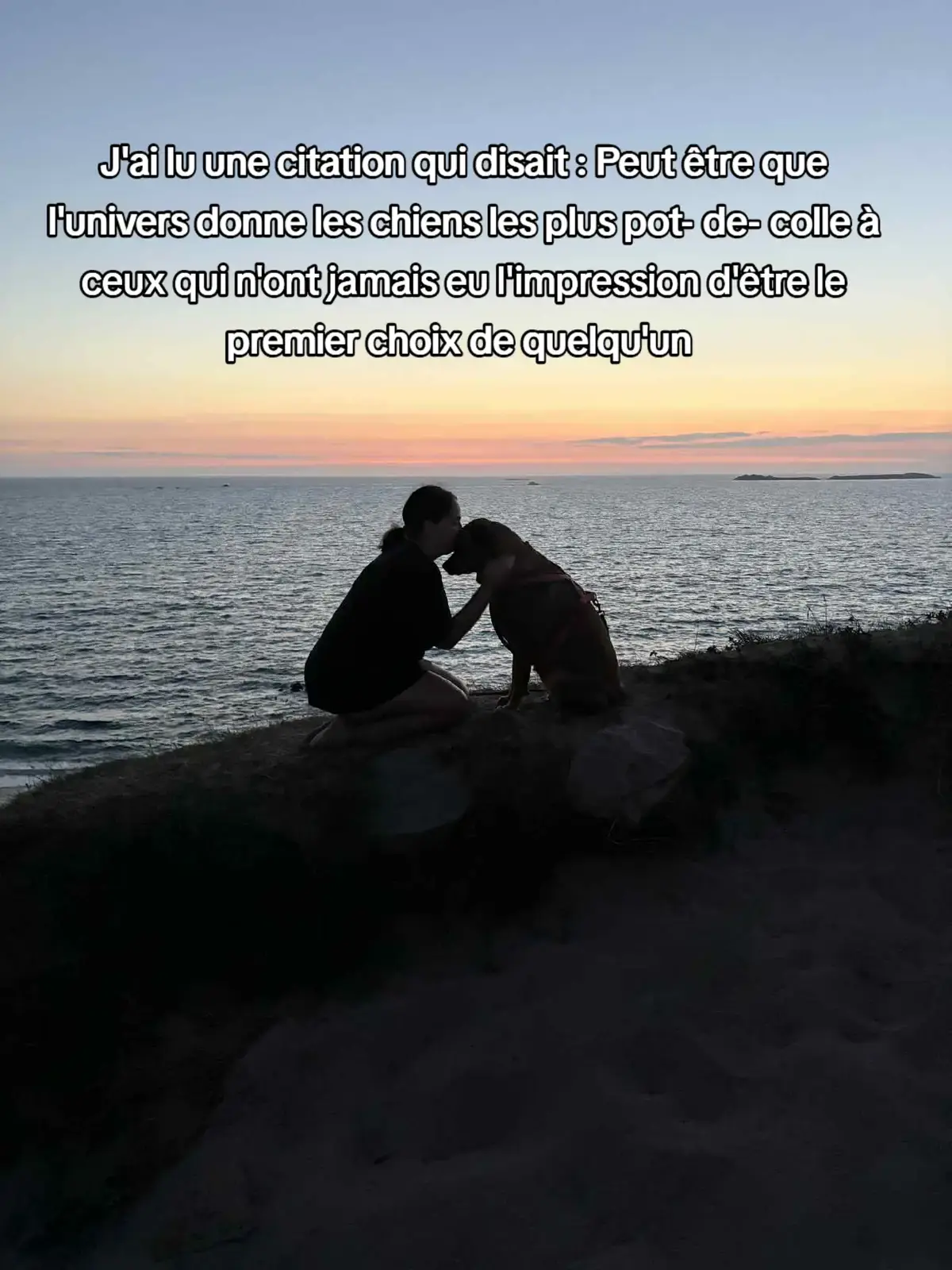 ❤️❤️ #dog #foryou #fyp #Love #pourtoii 