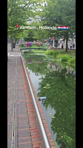 #zaandam #amsterdam #kabyle 