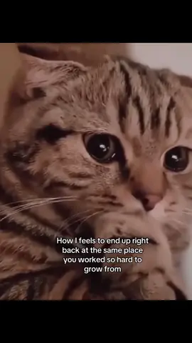#hurtmyfeelings #sad #felt #fyp #relatable 
