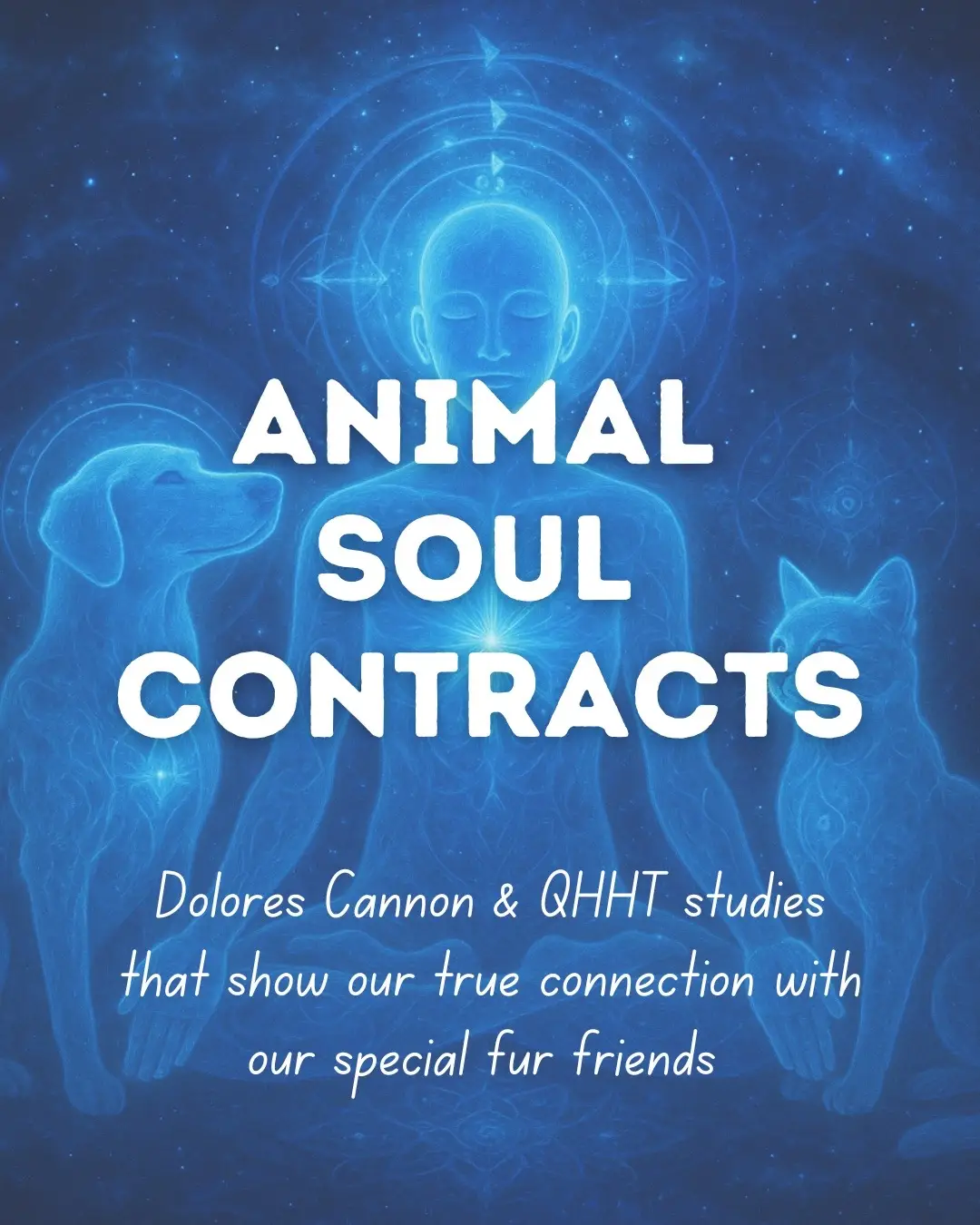⸻ Our pets are never random. Dolores Cannon’s work revealed that animals choose us with purpose. They come as volunteers, healers, and companions, often written into our soul contracts. Dogs mirror our emotions, cats clear energy, horses connect us to healing, and every animal carries a role. Some even return across lifetimes, leaving and re-entering in new bodies with the same soul essence, continuing the bond beyond time. Animals remind us of presence, love, and the simplicity of just being. 🌿💫 #DoloresCannon #pastliferegression #soulcontract #spirituality #QHHT 