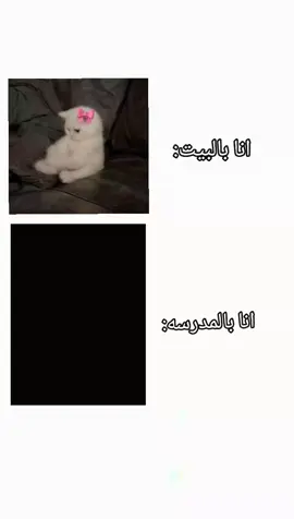 🚬🚬 #foryou #foryoupage #الشعب_الصيني_ماله_حل😂😂😂 #f #مالي_خلق_احط_هاشتاقات 