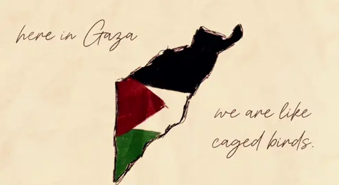 “In Gaza, we are like caged birds. We can’t fly or breathe or sing. We are locked in a cage of sadness and sorrow.” 🕊️🇵🇸🇵🇸 #freepalestine🇵🇸❤️ #animation #artist #fyp #xyzbca 