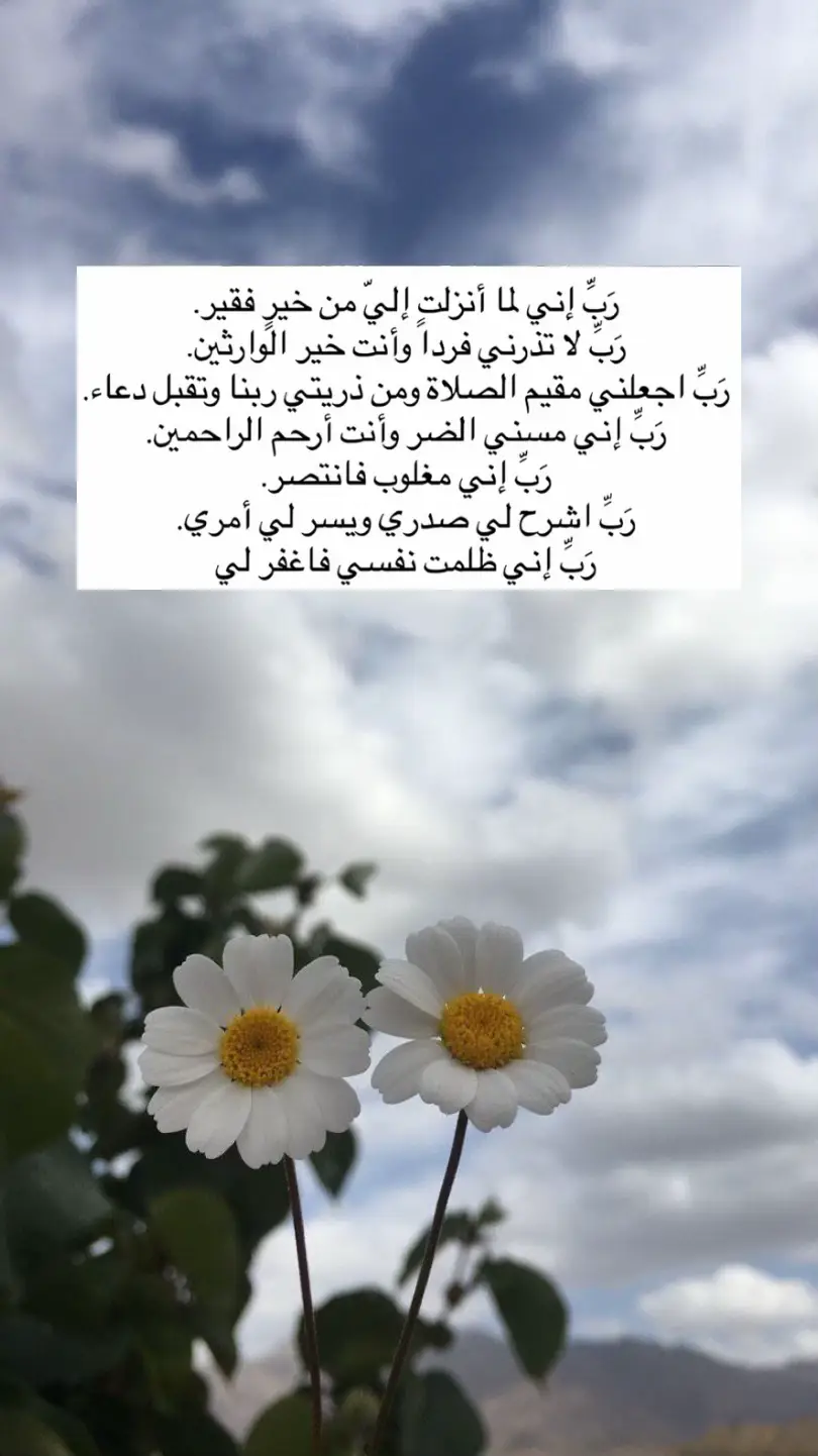 #اكسبلور #fyp 