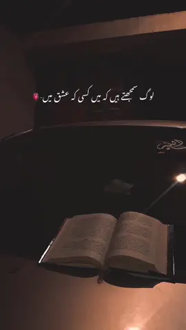 HaqeQut❤️‍🩹 | Paid Repost Avalaible • #urduadabshayri #urduadablines #viralvideo #viswasam @TikTok 
