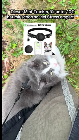 Seitdem meine Katze diesen Mini-Tracker trägt, hab ich keine Angst mehr, dass sie verschwindet 😻📍 Er kostet unter 10€ und zeigt mir den Standort direkt auf dem Handy – absoluter Gamechanger für alle Katzenbesitzer! 🙌 #fyp #viral #katze #cat #catlover 