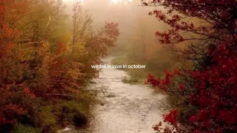 i can literally feel this fall is going to be GREATTT 🙏 || #girlinred #fall #aesthetic #moodboard #fyp keywords: autumn - music - falling in love - romance - october - lyrics - targetaudience - foryoupage - viral - relateable - trending 