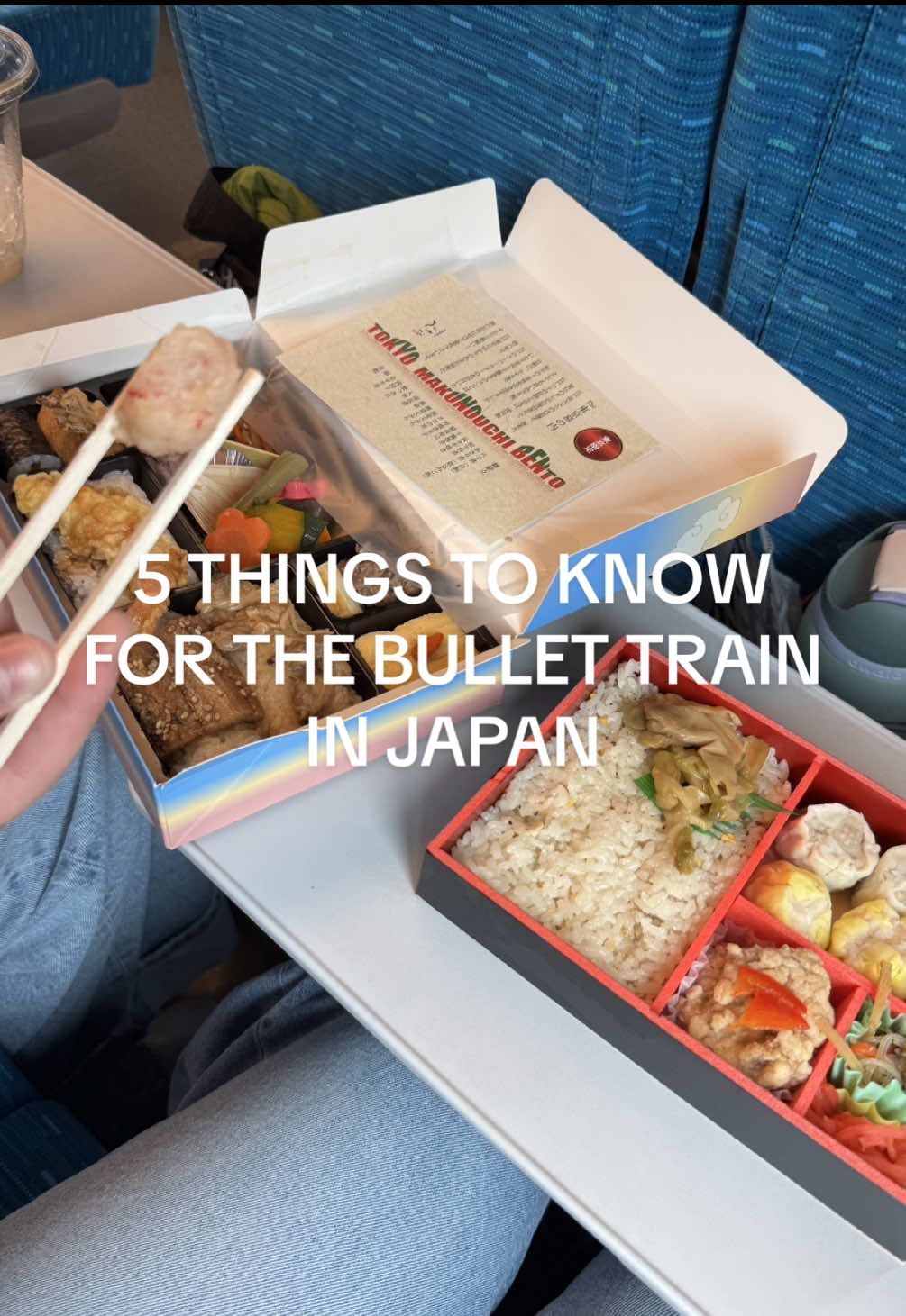 Figuring out the bullet train / Shinkansen was actually so tricky so here’s some tips on how to conquer it! The website feels so antiquated which made me nervous but we had successful trips on the bullet train! 1: book your ticket in advance online  2: sit in seats D/E for views of Mt. Fuji  3: buy bento boxes before scanning your ticket 4: get to the station early! 5: add your suica card to your Apple wallet  #shinkansen #bullettrain #japantraveltips #tokyojapan #cheaptravel 