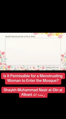 #quran #sunnah #tawheed #salafiyyah #fyp