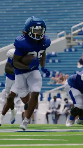 Caturdays coming 🔜 #GoBigBlue #Kentucky #Football #cfb