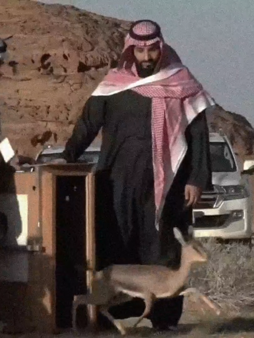 ليت من ينهبه يا سعود هاك الغزال . #محمد_بن_سلمان #غزلان #محميه #المملكة_العربية_السعودية #ولي_العهد_الأمير_محمد_بن_سلمان 