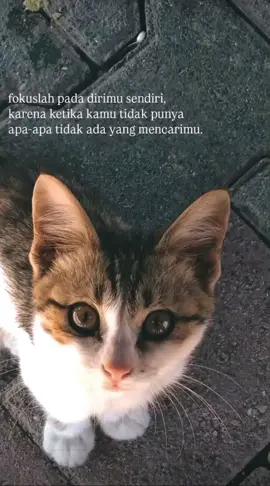 izin yg punya sound #kongwan #osg #bumiaji #asikbanget #bujanglampung #lampungpride🔥 #lampungtiktok 