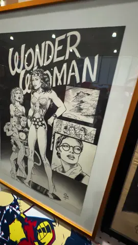 ✨ At Terrificon, I met Kristi, the incredible woman behind the Wonder Museum. @Kristi G  @terrificon  Kristi has built one of the most breathtaking personal collections I’ve ever seen: thousands of items celebrating Wonder Woman 🦸‍♀️. At the convention, she shared a booth showcasing just a fraction of her treasures, and it was absolutely stunning. Even more inspiring? She’s using her passion and collection to raise funds in support of victims of domestic violence 💜. Talking with Kristi was a highlight of Terrificon. Her energy, kindness, and passion were contagious, and you should definitely support what she’s building 🙌. 👉 Go check out the Wonder Museum and help amplify this amazing mission. #WonderWoman #WonderMuseum #Terrificon #ComicCon #WonderWomanCollection