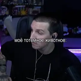 животное если что мзлф #мзлф #мзлфф #мазелов #завертин #твич #mzlff #mazellovvv 