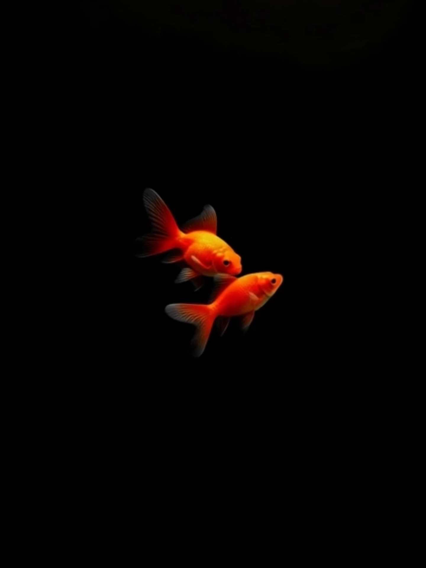 Live Wallpaper | Two Goldfish #goldfish #livewallpaper #fish #minimalism #aivideo #phonewallpaper #dark #wallpapervideo #aquariumvibes #relaxing #tranquil