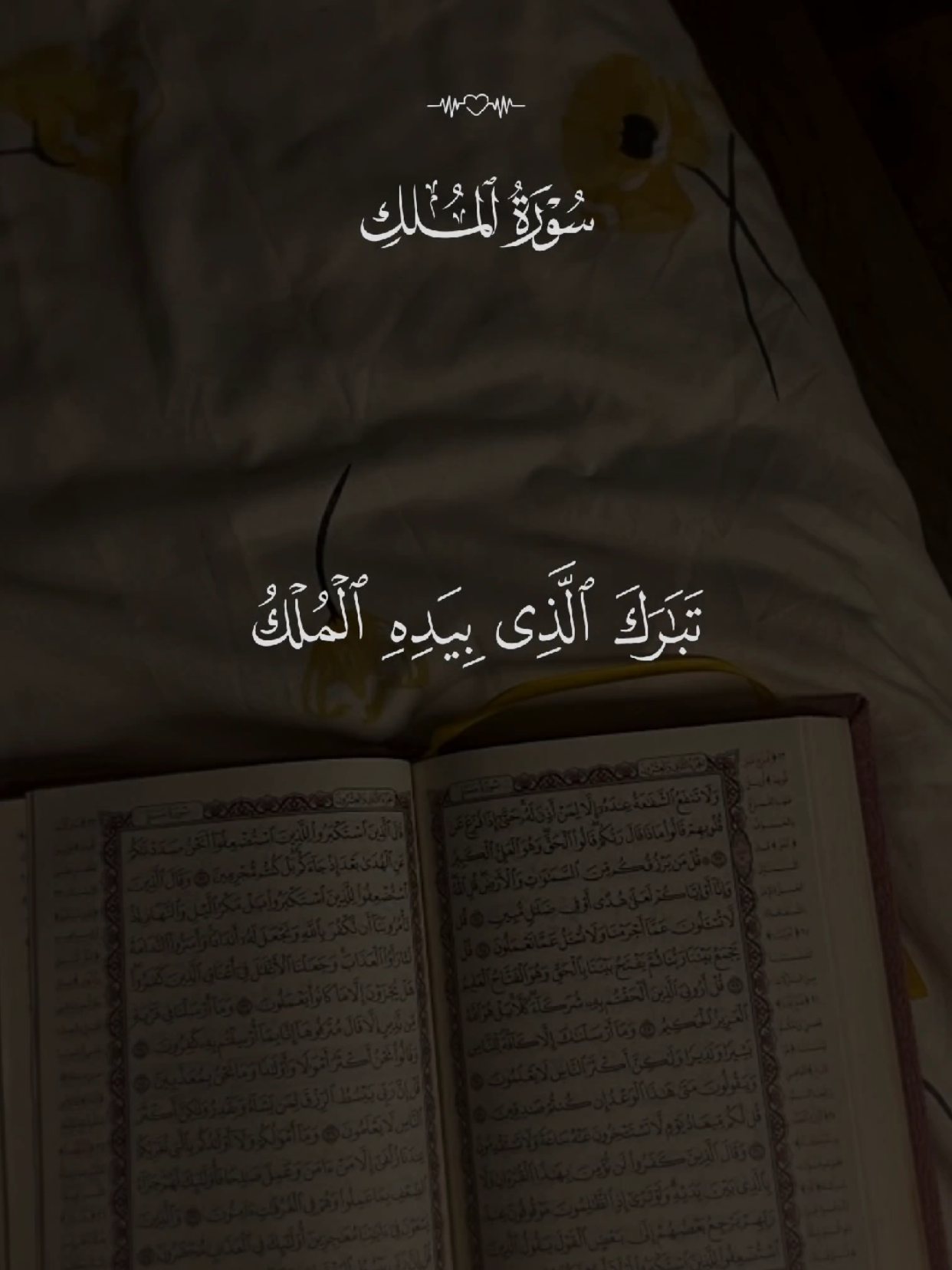 سورة الملك 🤍 #القران #quran #القران_الكريم #quran_alkarim #تلاوة_خاشعة 