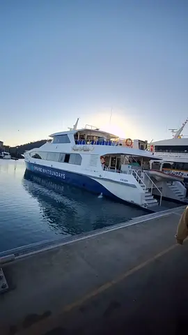 Whale watching in Airlie Beach. Half day trip past the islands. #Queensland  #Whitsundays  #whalewatching 